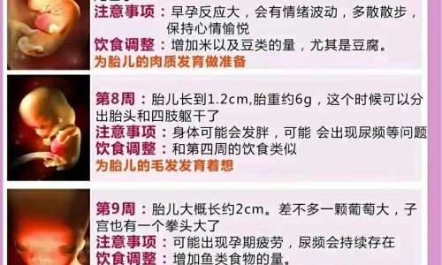 婴乐士婴儿游泳馆网 | 泳乐宝婴儿游泳,乐樱婴儿童游泳池