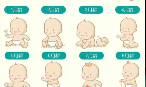 婴乐园-婴乐士婴儿游泳馆网 | 泳乐宝婴儿游泳,乐樱婴儿童游泳池